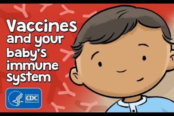 Explainer: How Vaccines Help Babies Fight Infections